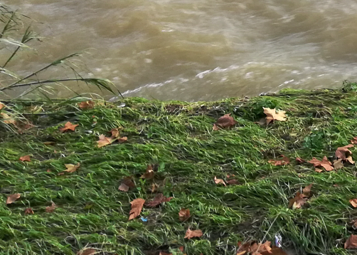 Eventi meteoclimatici eccezionali del novembre 2019, ordinanza per la gestione dell'emergenza rifiuti Eventi meteoclimatici eccezionali del novembre 2019, ordinanza per la gestione dell'emergenza rifiuti