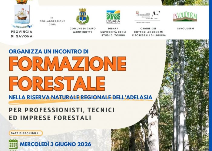 Formazione Forestale per Professionisti, Tecnici ed Imprese Forestali presso