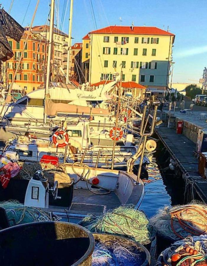 #sealife Darsena di Savona (Ph: Flavia Minetto)