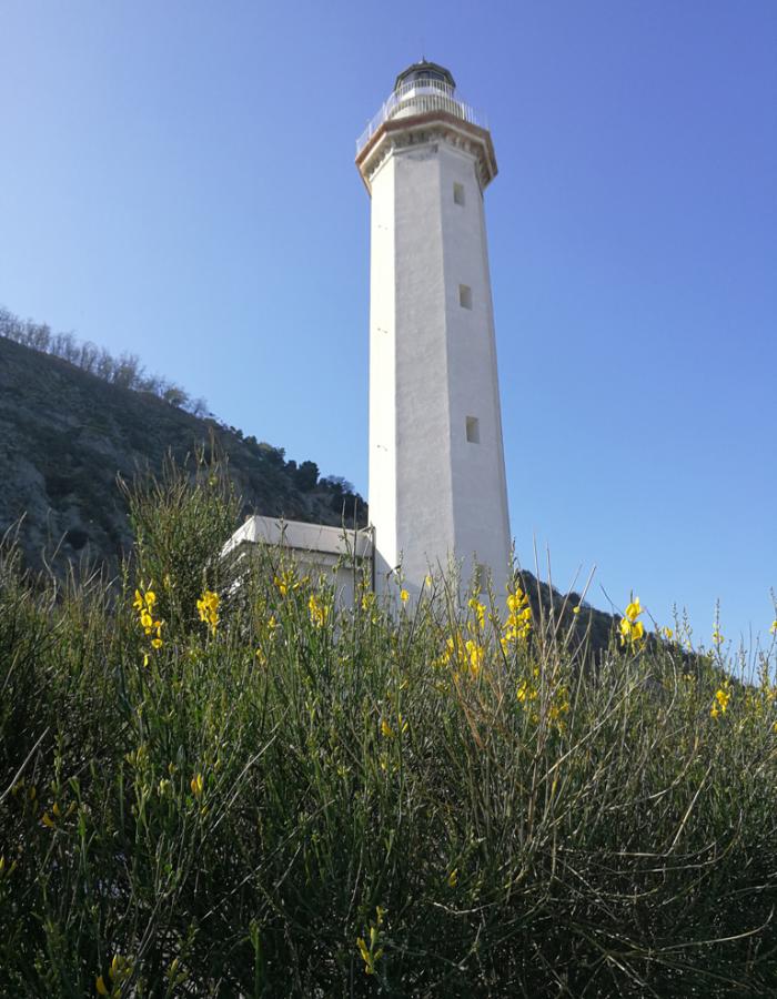 Il Faro di Vado Ligure (Ph: Piera Squarci)