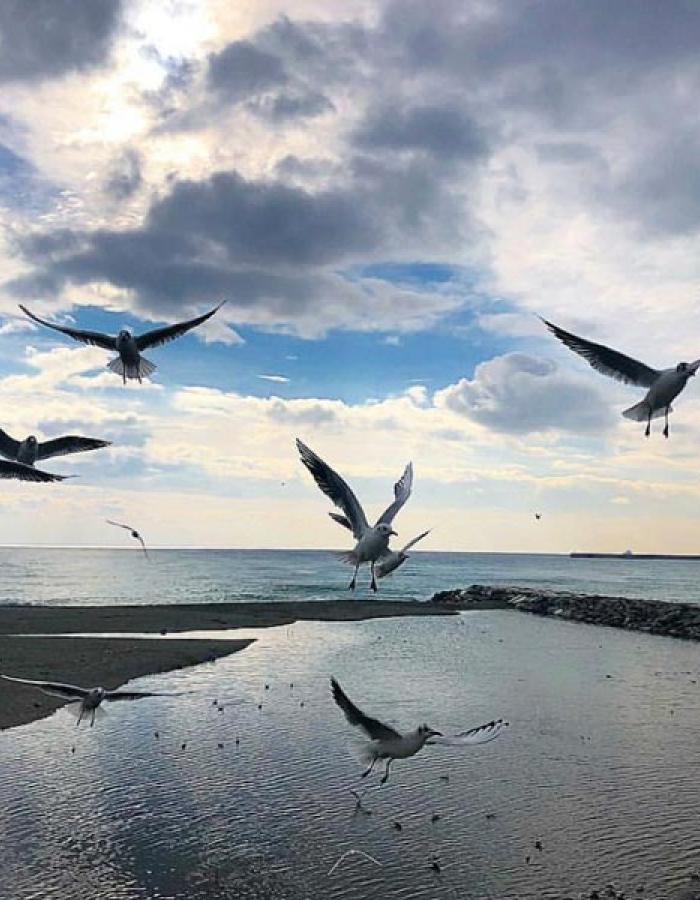 Albisola (Ph: Flavia Minetto)