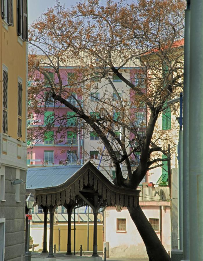 I vecchi treuggi (lavatoi) in calata, Porto di Savona (Ph: Franco Galatolo)