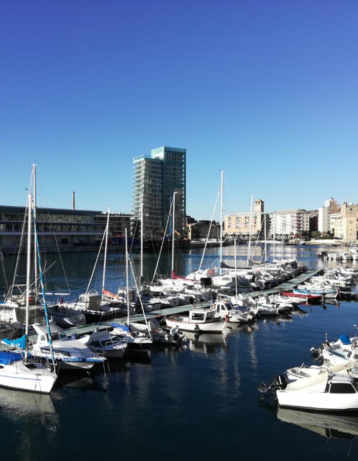 Porto di Savona (Ph: Provincia di Savona)