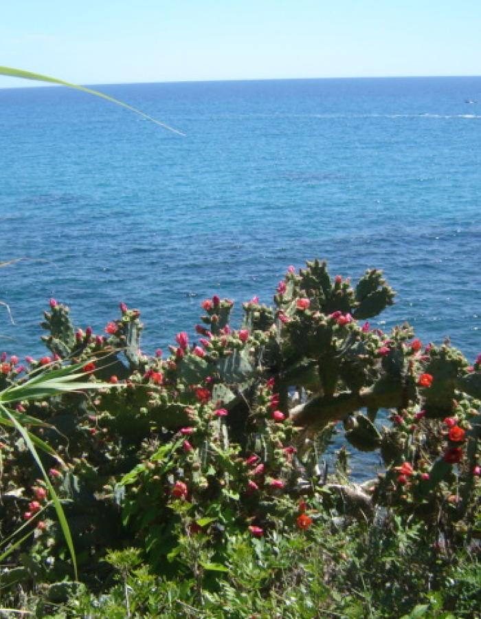 Varigotti (Ph: Piera Squarci)