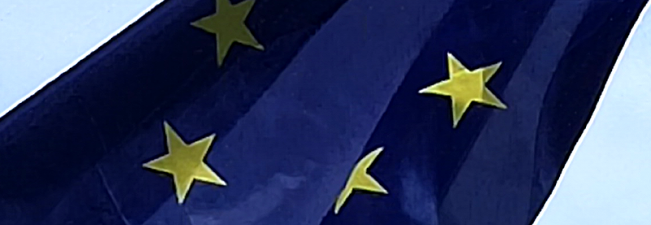 Bandiera Europa (ph: Provincia di Savona) Bandiera Europa (ph: Provincia di Savona)