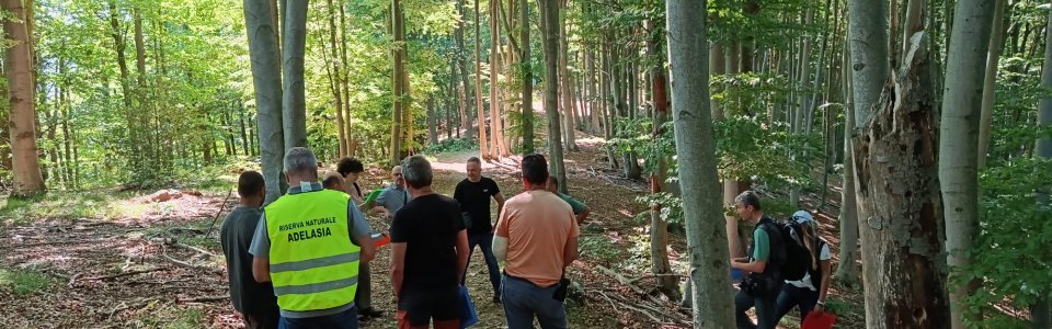 Incontro del 3 giugno 2026