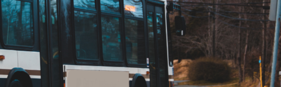 Avviso indagine di mercato (ph: archivio)