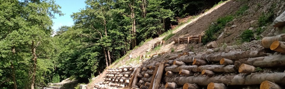 Valutazione di Incidenza (VIncA)