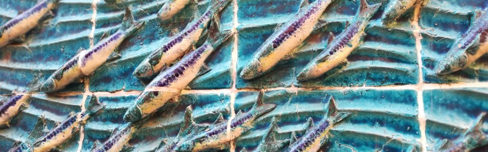 Albisola Superiore (Ph: Provincia di Savona)