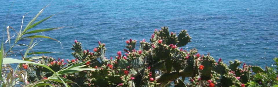 Varigotti (Ph: Piera Squarci)