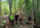 Incontro del 3 giugno 2026