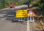 Strade provinciali, al via gli sfalci: cresce il ruolo dei Comuni nella gestione operativa degli interventi Strade provinciali, al via gli sfalci: cresce il ruolo dei Comuni nella gestione operativa degli interventi