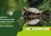 Progetto Life Urca Proemys Progetto Life Urca Proemys