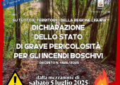 Dichiarazione dello stato di grave pericolosità per gli incendi boschivi 