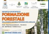 Formazione Forestale per Professionisti, Tecnici ed Imprese Forestali presso